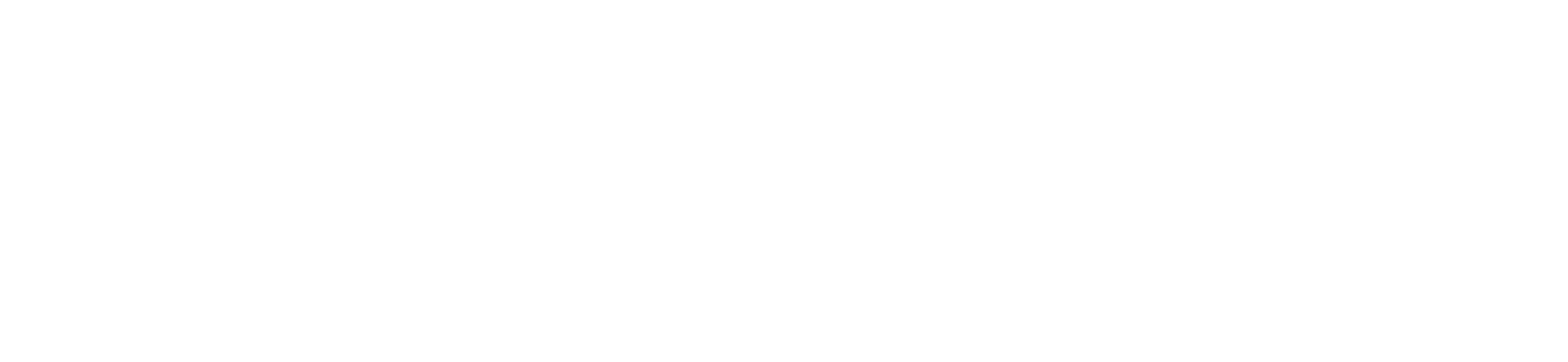 Mega Conexão
