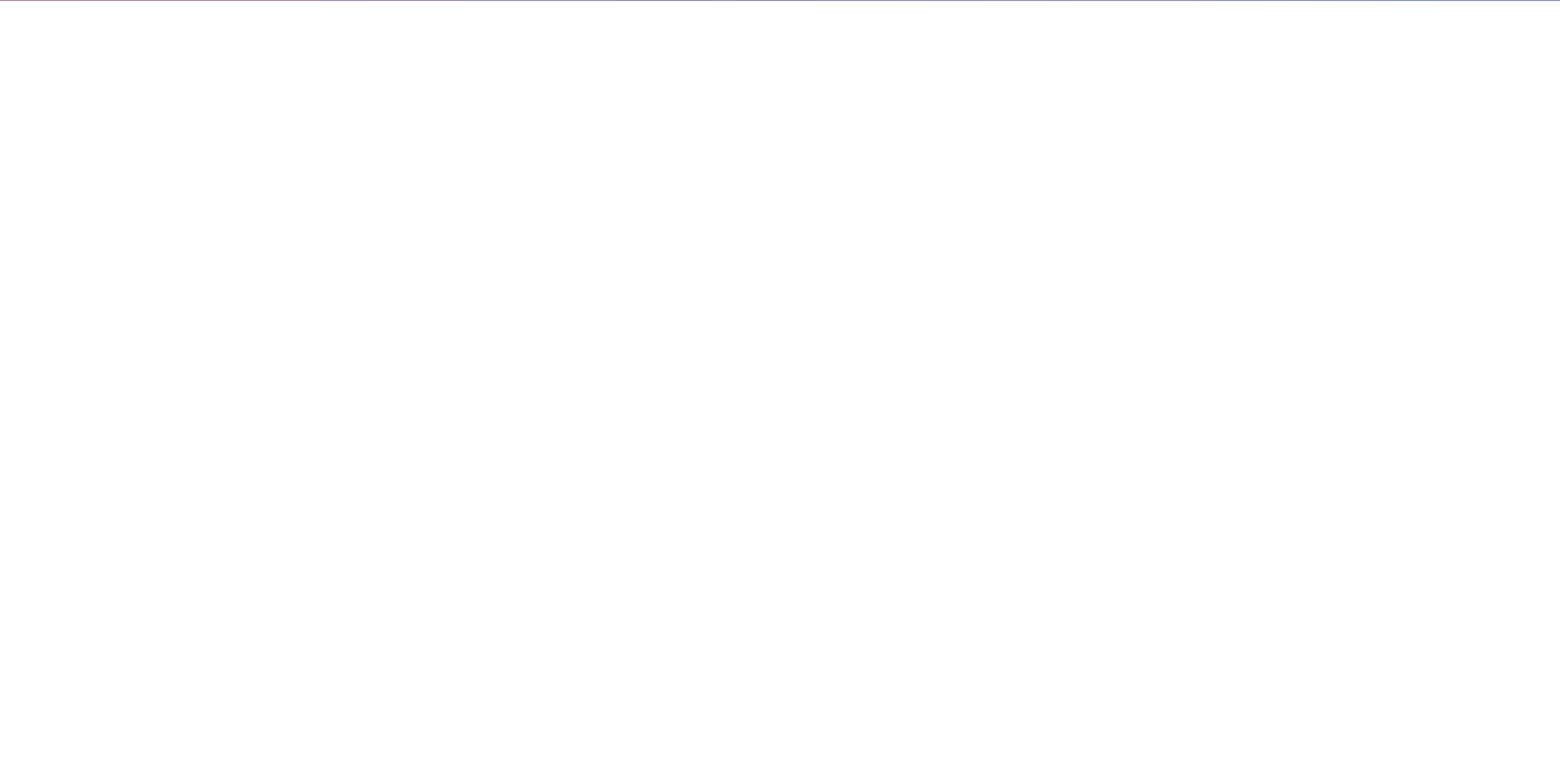 Virtual Net Logo